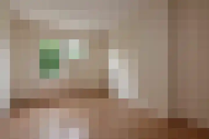 Bunzingweide 8 Zoetermeer thumbnail 21