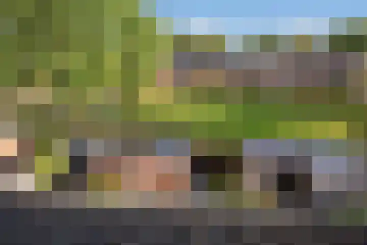 Bunzingweide 8 Zoetermeer thumbnail 26