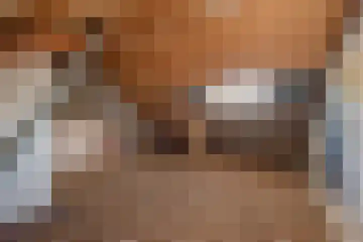 Bunzingweide 8 Zoetermeer thumbnail 27
