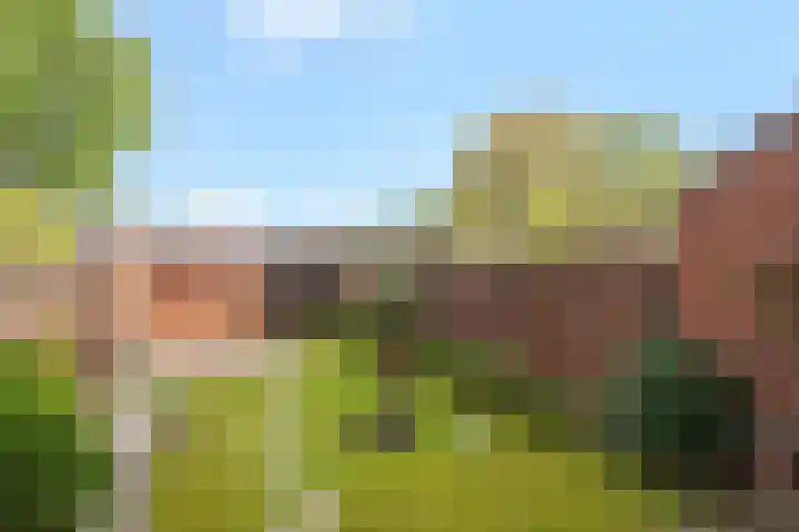 Bunzingweide 8 Zoetermeer thumbnail 4