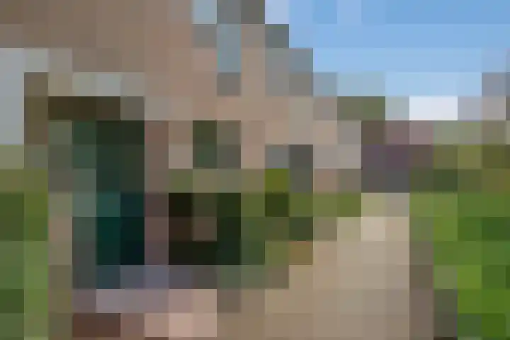 Bunzingweide 8 Zoetermeer thumbnail 5