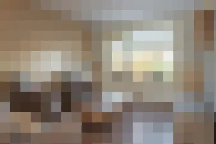 Buorfinneleane 36 Sexbierum thumbnail 10