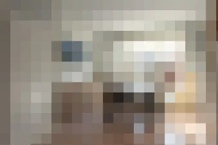 Buorfinneleane 36 Sexbierum thumbnail 13