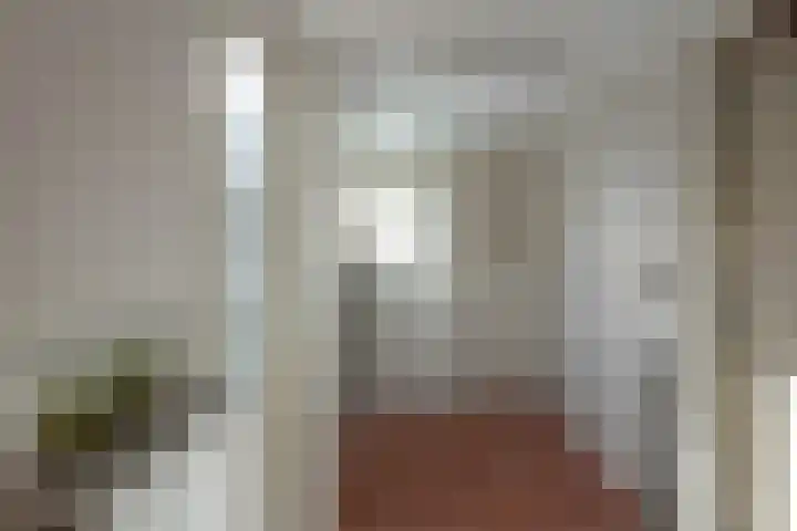 Buorfinneleane 36 Sexbierum thumbnail 17