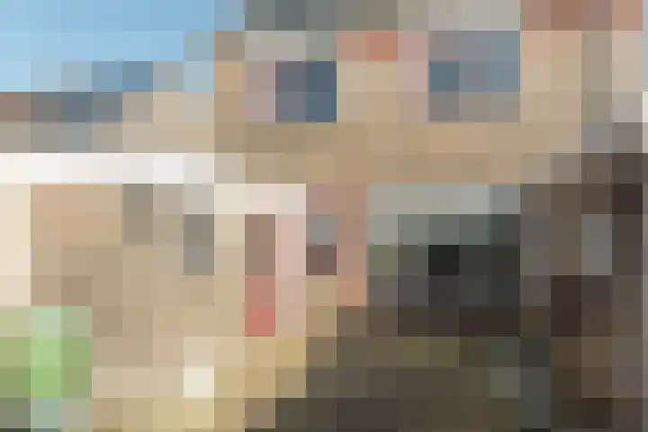 Buorfinneleane 36 Sexbierum thumbnail 20