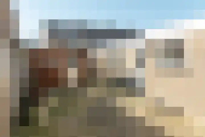 Buorfinneleane 36 Sexbierum thumbnail 21