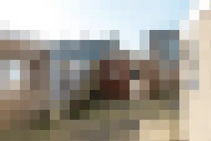 Buorfinneleane 36 Sexbierum thumbnail 22