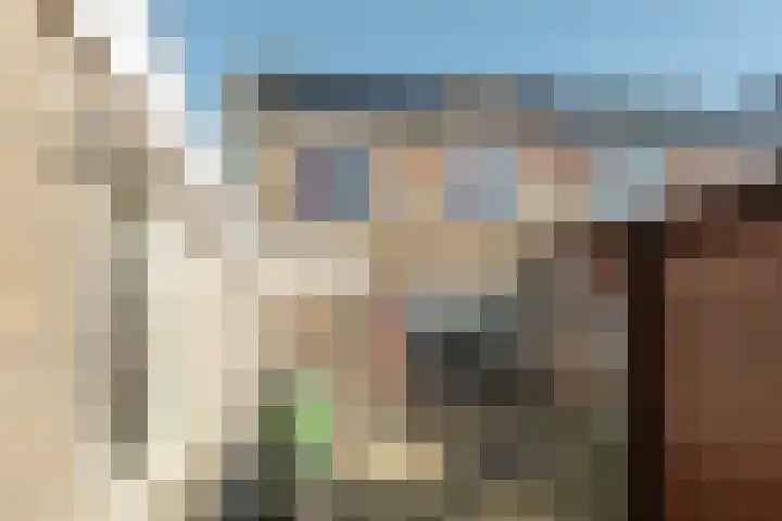 Buorfinneleane 36 Sexbierum thumbnail 23