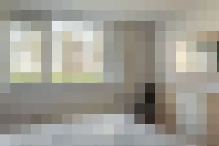 Buorfinneleane 36 Sexbierum thumbnail 27