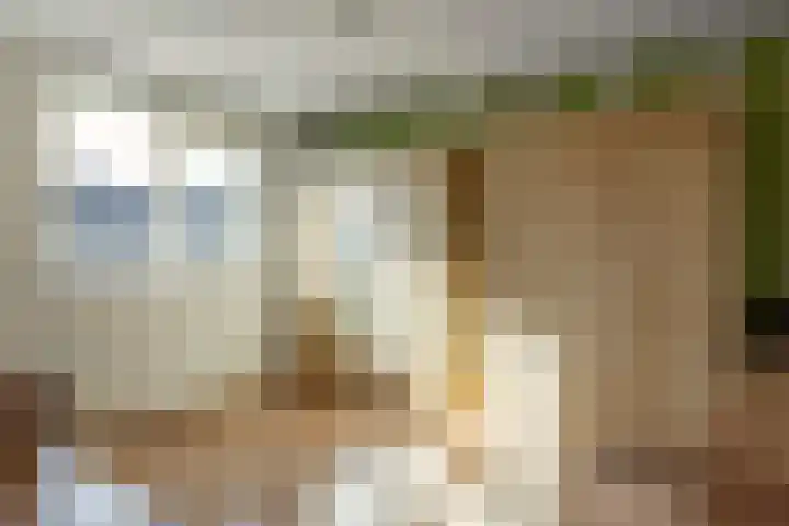 Buorfinneleane 36 Sexbierum thumbnail 28