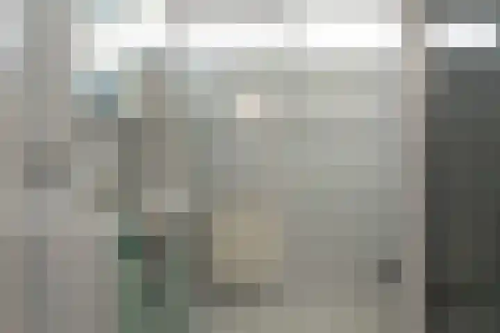 Buorfinneleane 36 Sexbierum thumbnail 30