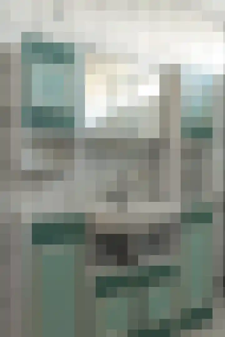 Buorfinneleane 36 Sexbierum thumbnail 32