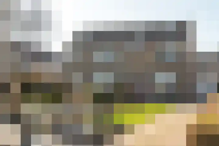 Buorfinneleane 36 Sexbierum thumbnail 36