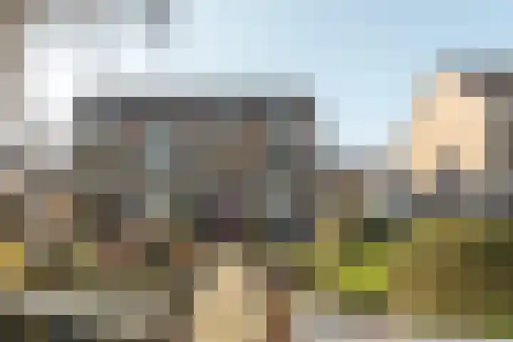 Buorfinneleane 36 Sexbierum thumbnail 37