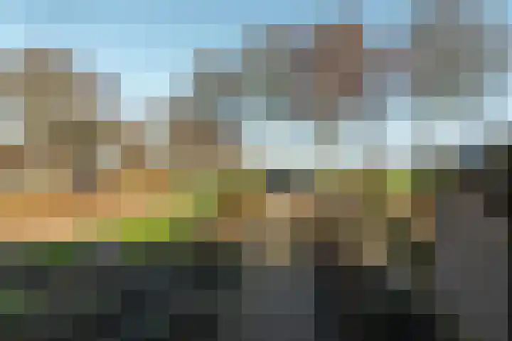Buorfinneleane 36 Sexbierum thumbnail 38