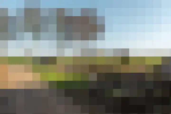Buorfinneleane 36 Sexbierum thumbnail 39