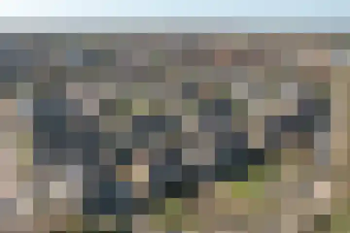 Buorfinneleane 36 Sexbierum thumbnail 4