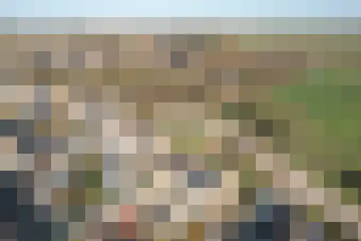 Buorfinneleane 36 Sexbierum thumbnail 5