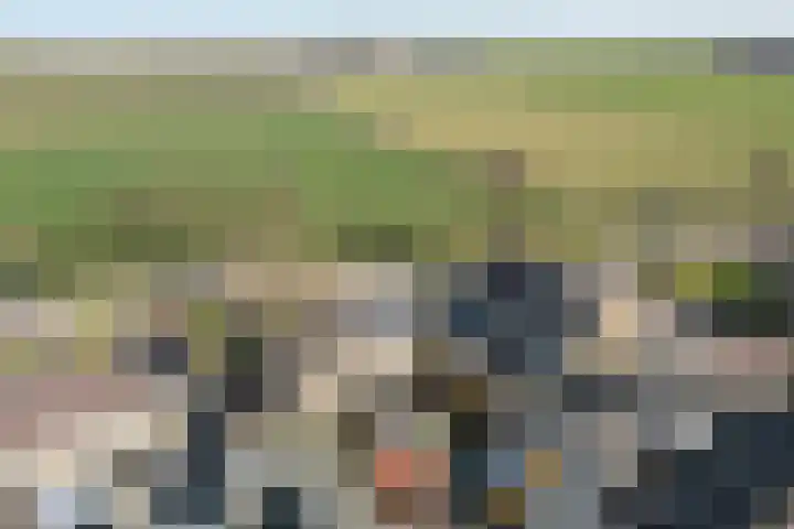 Buorfinneleane 36 Sexbierum thumbnail 6
