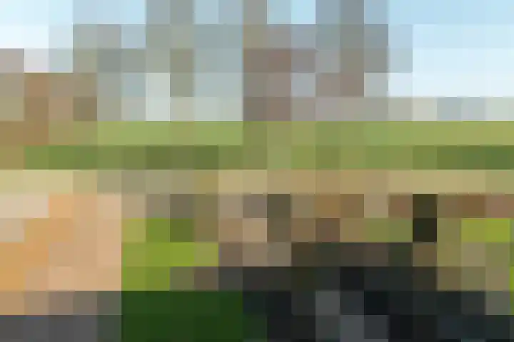 Buorfinneleane 36 Sexbierum thumbnail 7