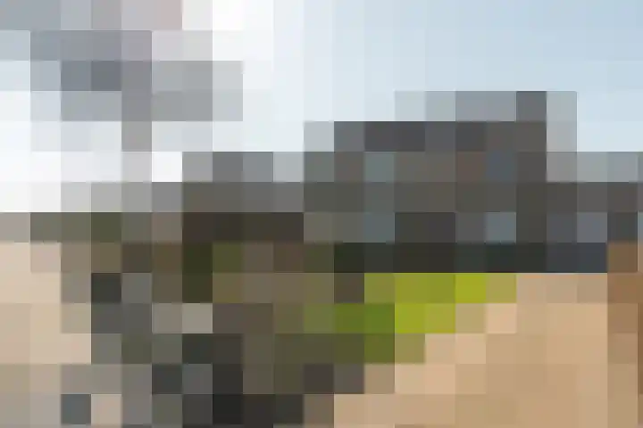 Buorfinneleane 36 Sexbierum thumbnail 8