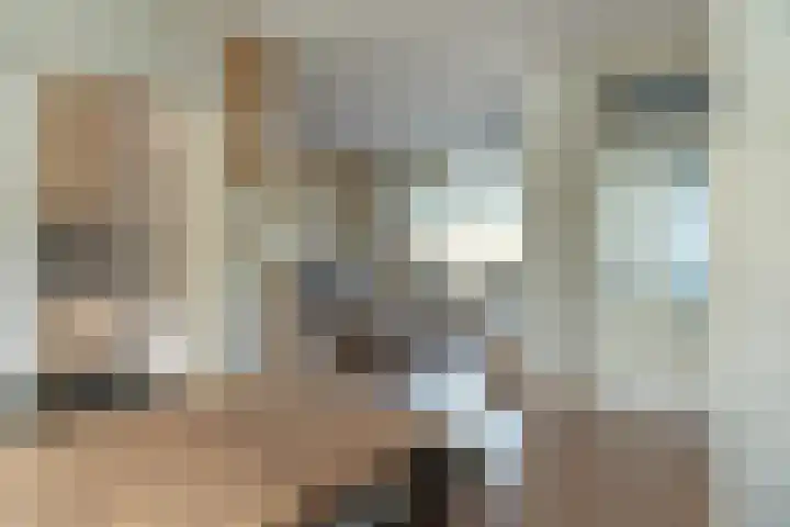 Buorfinneleane 36 Sexbierum thumbnail 9