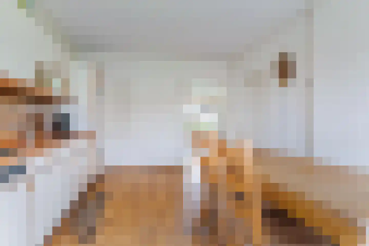 Buorfinneleane 8 Sexbierum thumbnail 14