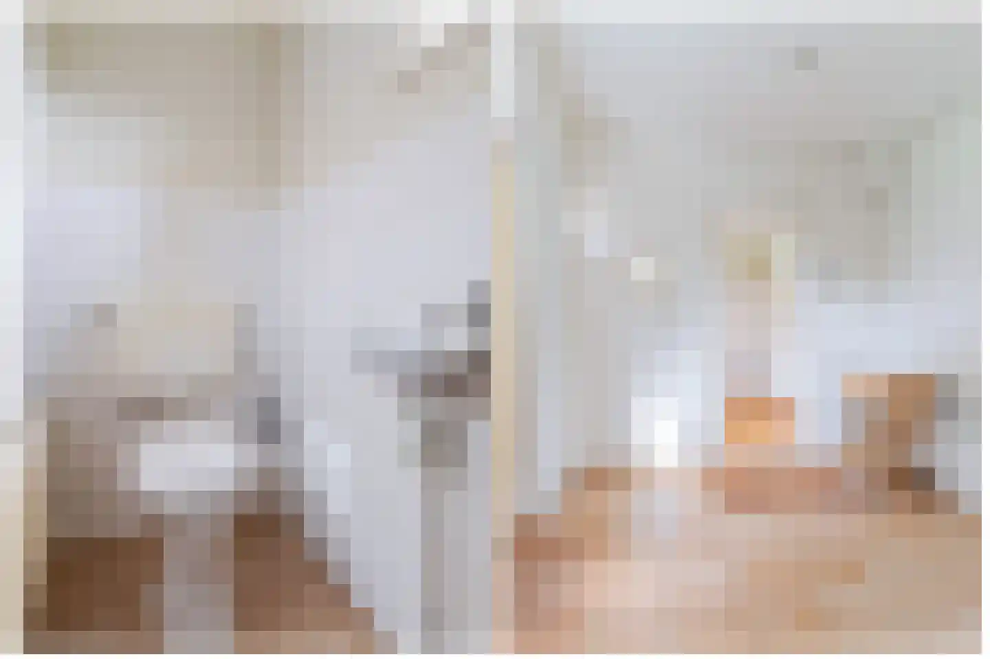Buorfinneleane 8 Sexbierum thumbnail 18