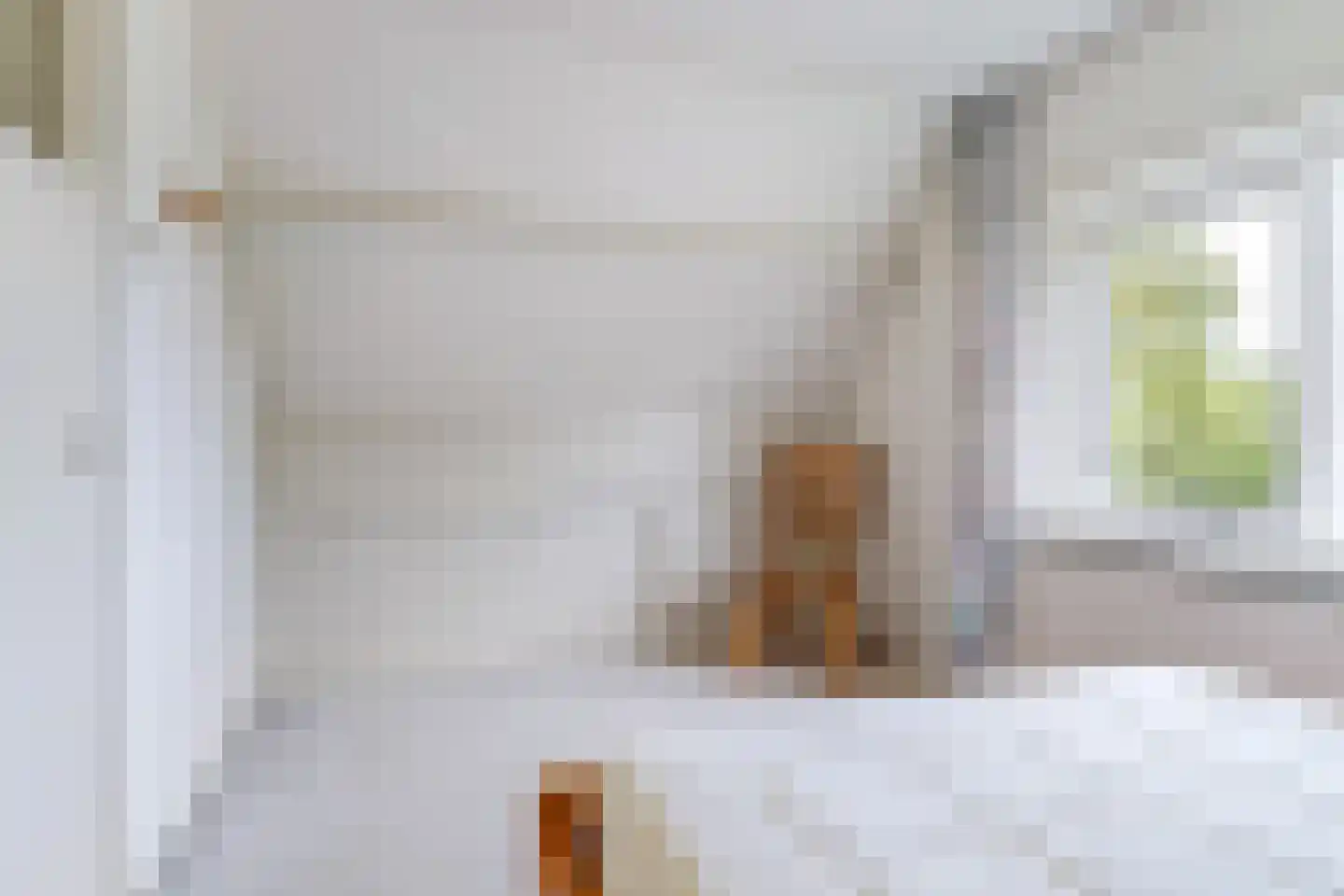 Buorfinneleane 8 Sexbierum thumbnail 21