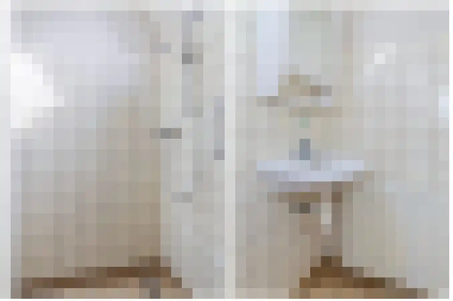 Buorfinneleane 8 Sexbierum thumbnail 23