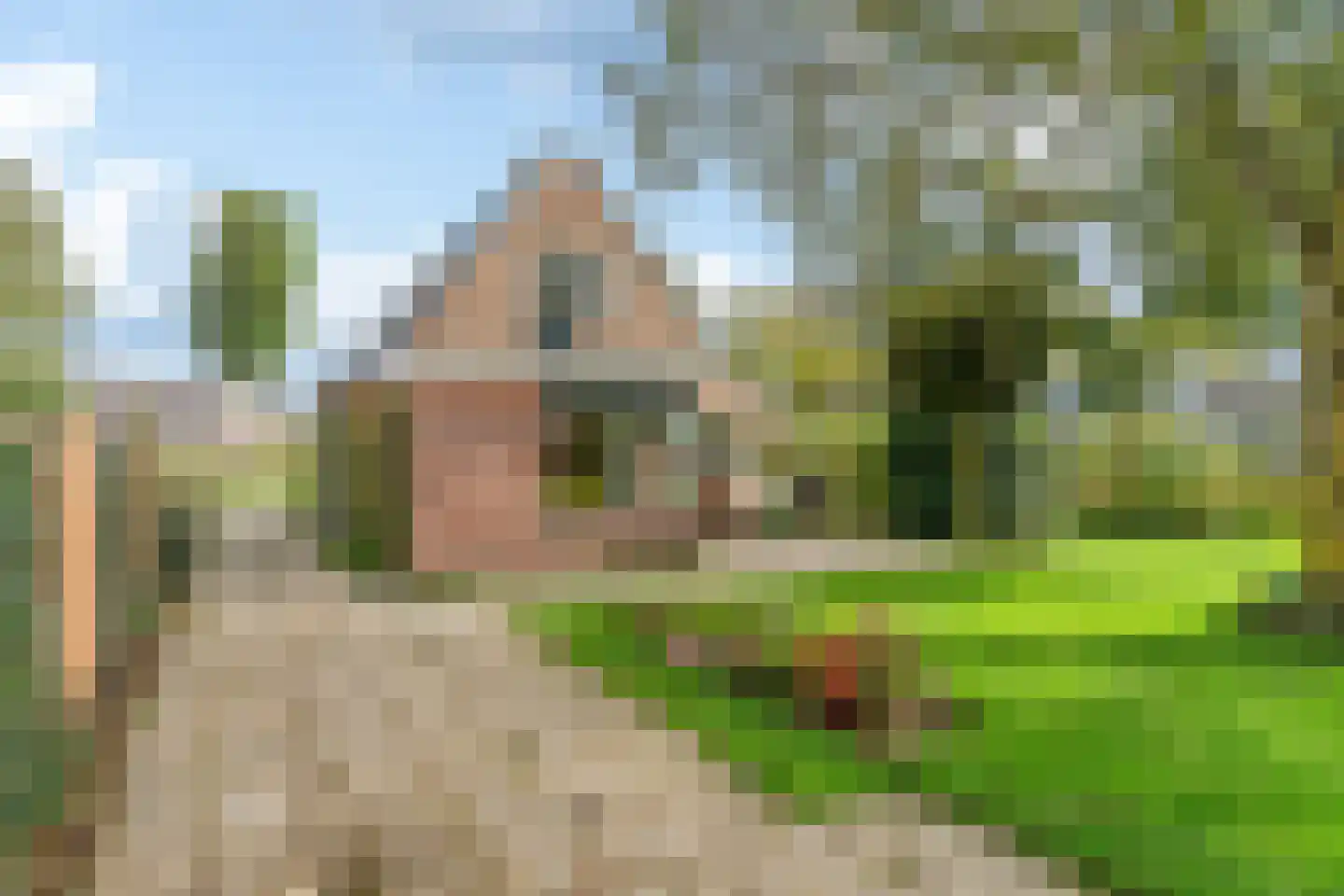 Buorfinneleane 8 Sexbierum thumbnail 26