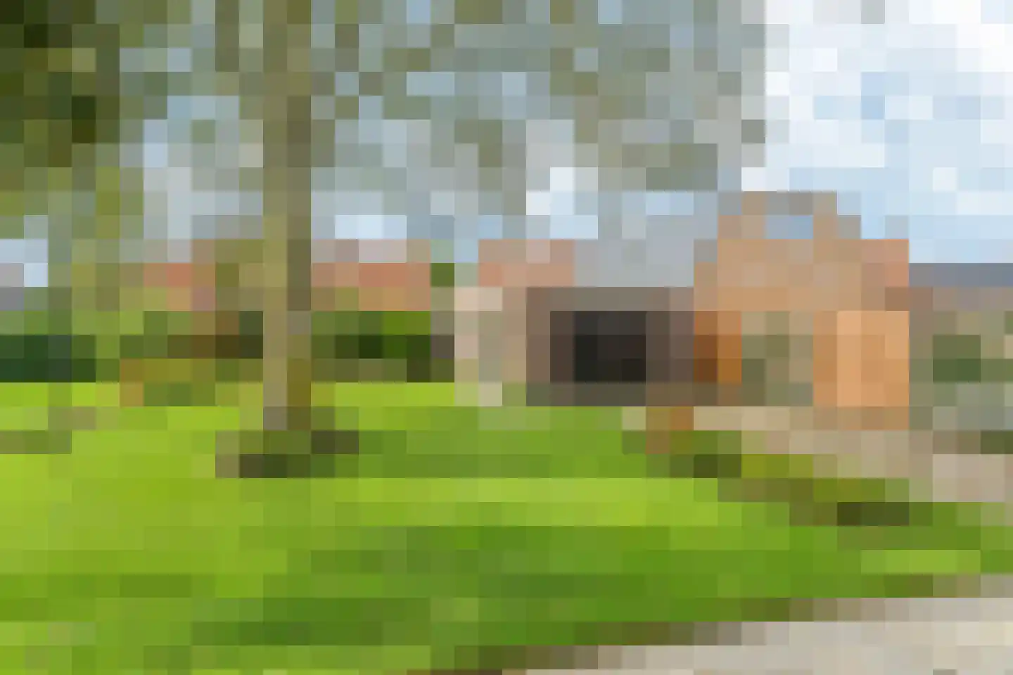 Buorfinneleane 8 Sexbierum thumbnail 27
