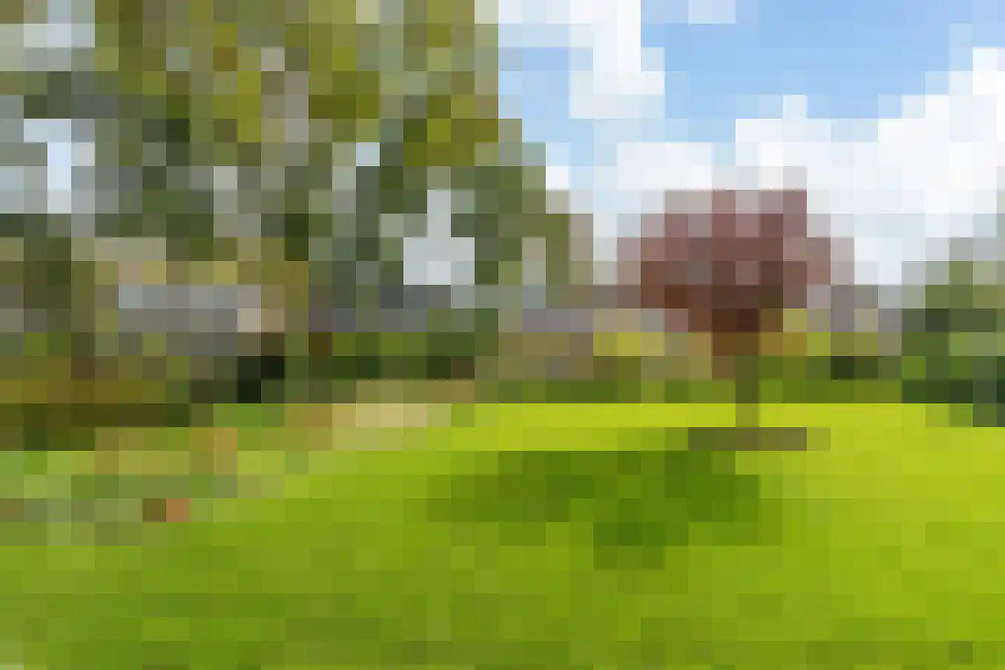 Buorfinneleane 8 Sexbierum thumbnail 29