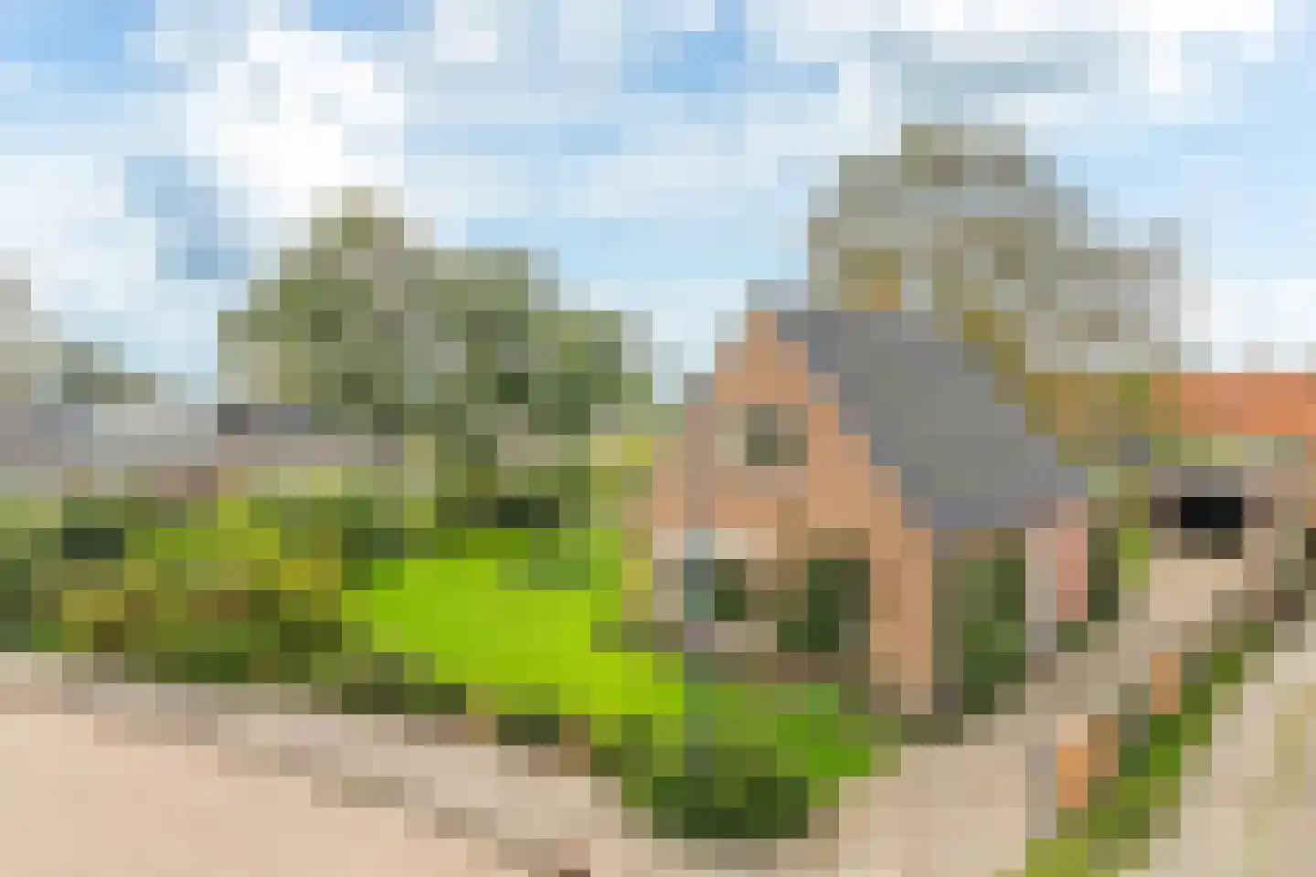 Buorfinneleane 8 Sexbierum foto 3