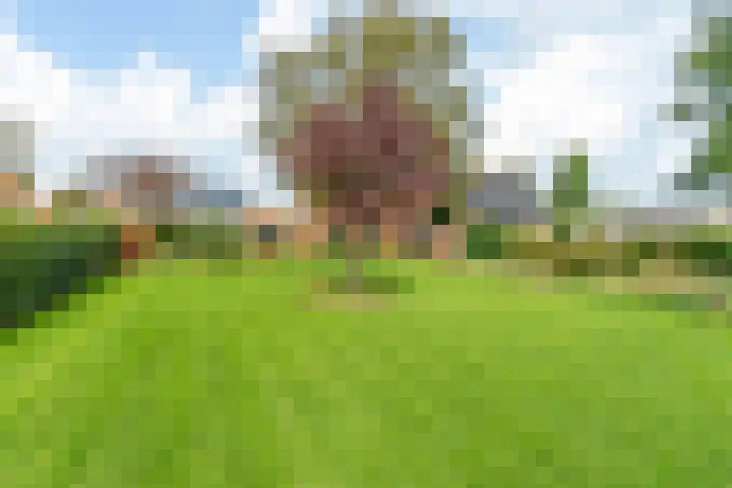Buorfinneleane 8 Sexbierum thumbnail 30