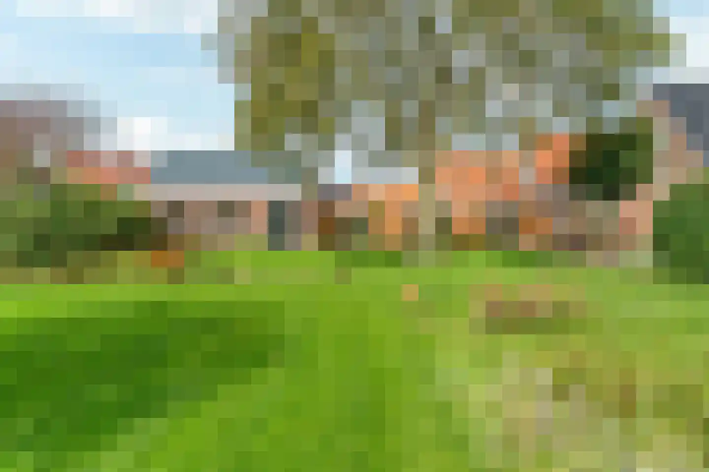 Buorfinneleane 8 Sexbierum thumbnail 31