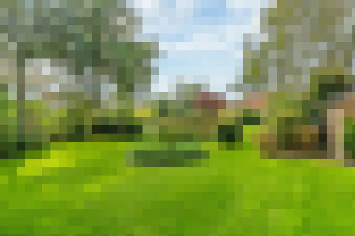 Buorfinneleane 8 Sexbierum thumbnail 32