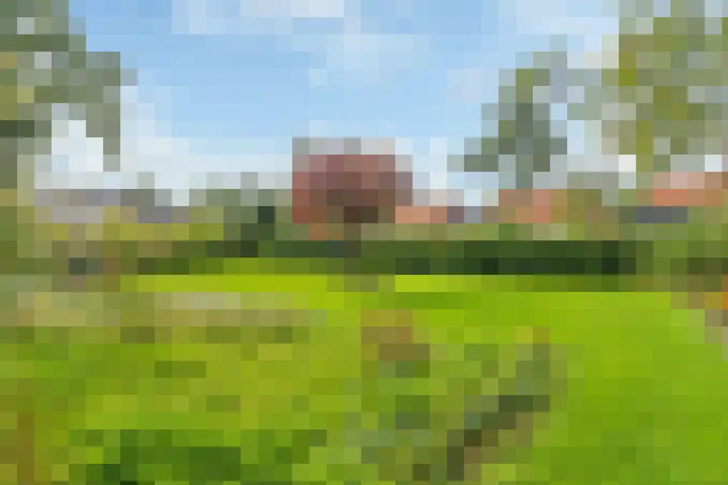 Buorfinneleane 8 Sexbierum thumbnail 34