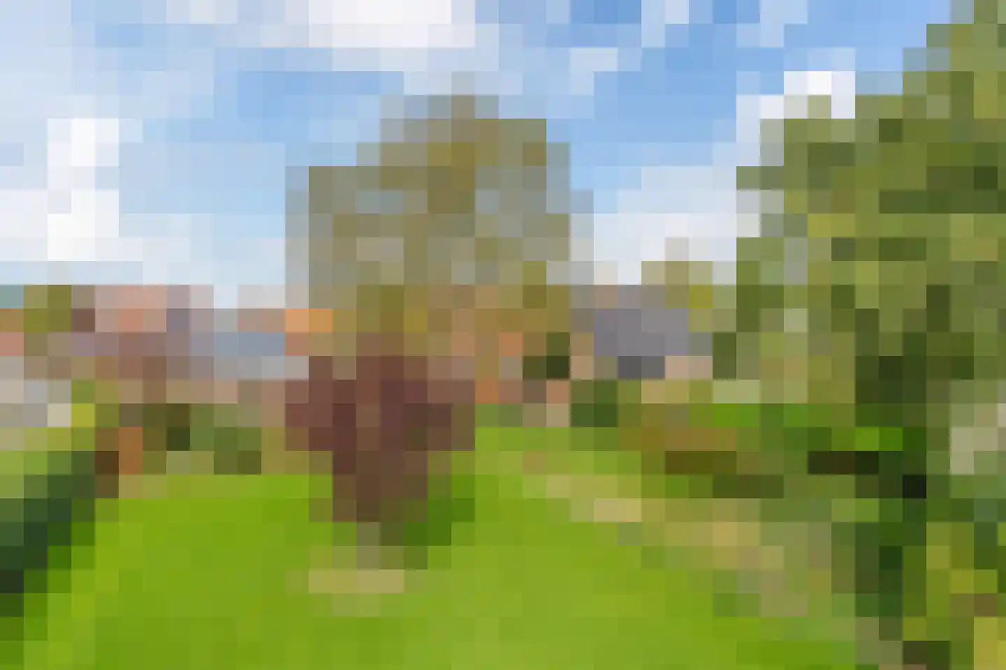 Buorfinneleane 8 Sexbierum thumbnail 36