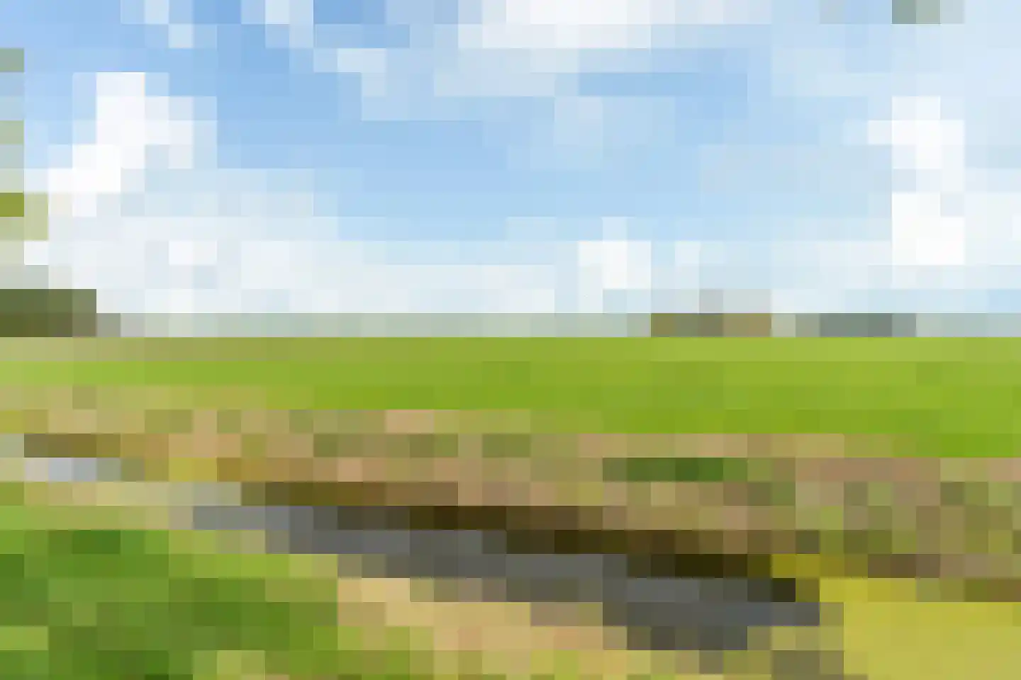 Buorfinneleane 8 Sexbierum thumbnail 38