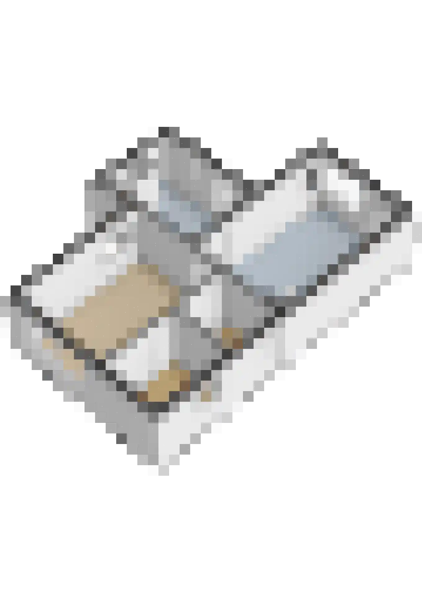 Buorfinneleane 8 Sexbierum thumbnail 40
