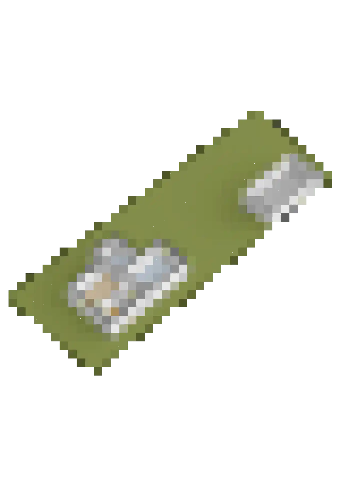 Buorfinneleane 8 Sexbierum thumbnail 46