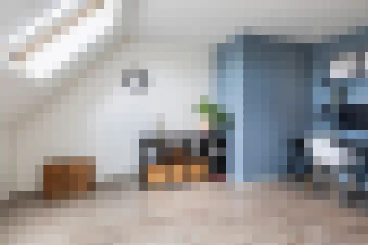 Buorkerij 100 Leeuwarden thumbnail 36