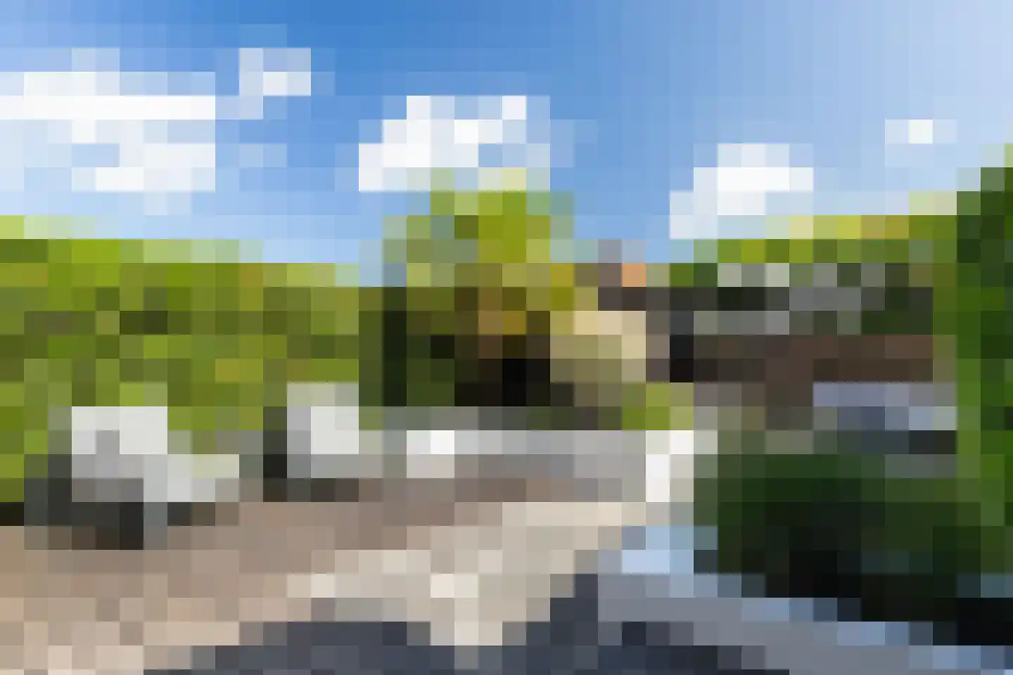 Buorkerij 100 Leeuwarden thumbnail 39