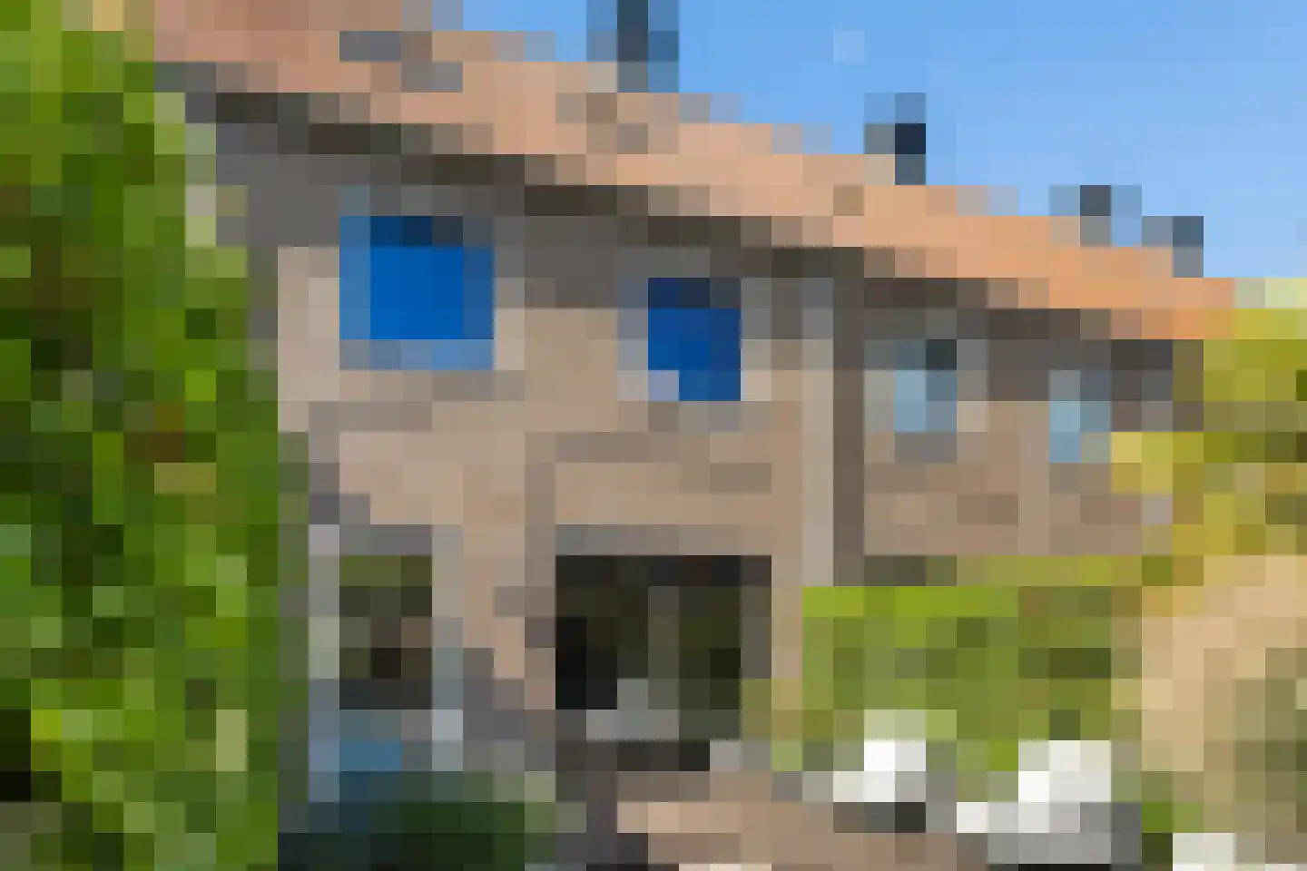 Buorkerij 100 Leeuwarden thumbnail 41