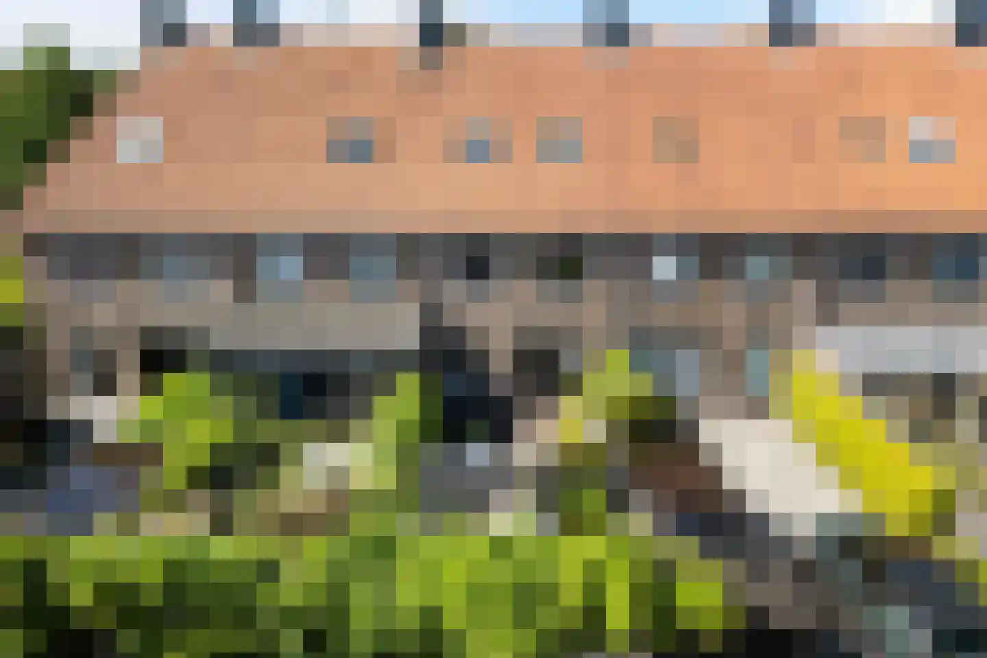 Buorkerij 100 Leeuwarden thumbnail 42