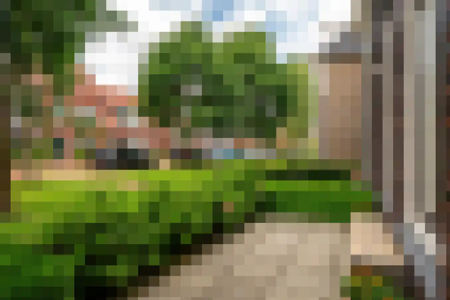 Buorkerij 104 Leeuwarden thumbnail 38