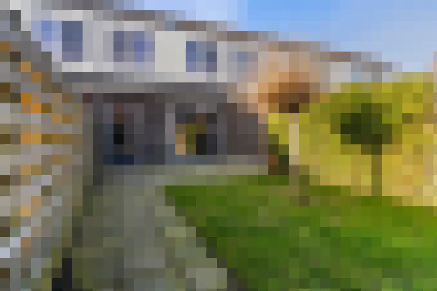 Buorkerij 126 Leeuwarden thumbnail 27