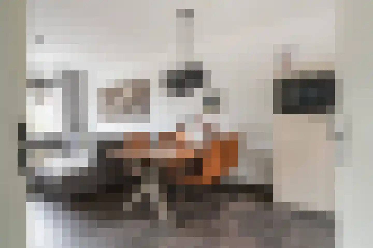 Buorkerij 150 Leeuwarden thumbnail 22