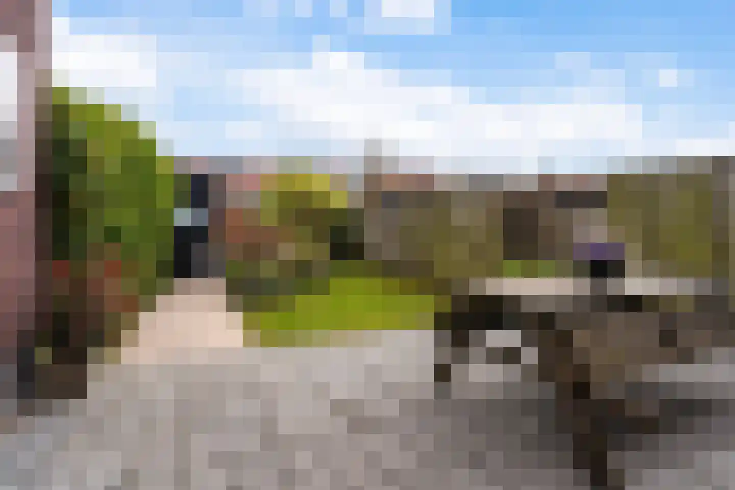 Buorkerij 150 Leeuwarden thumbnail 23